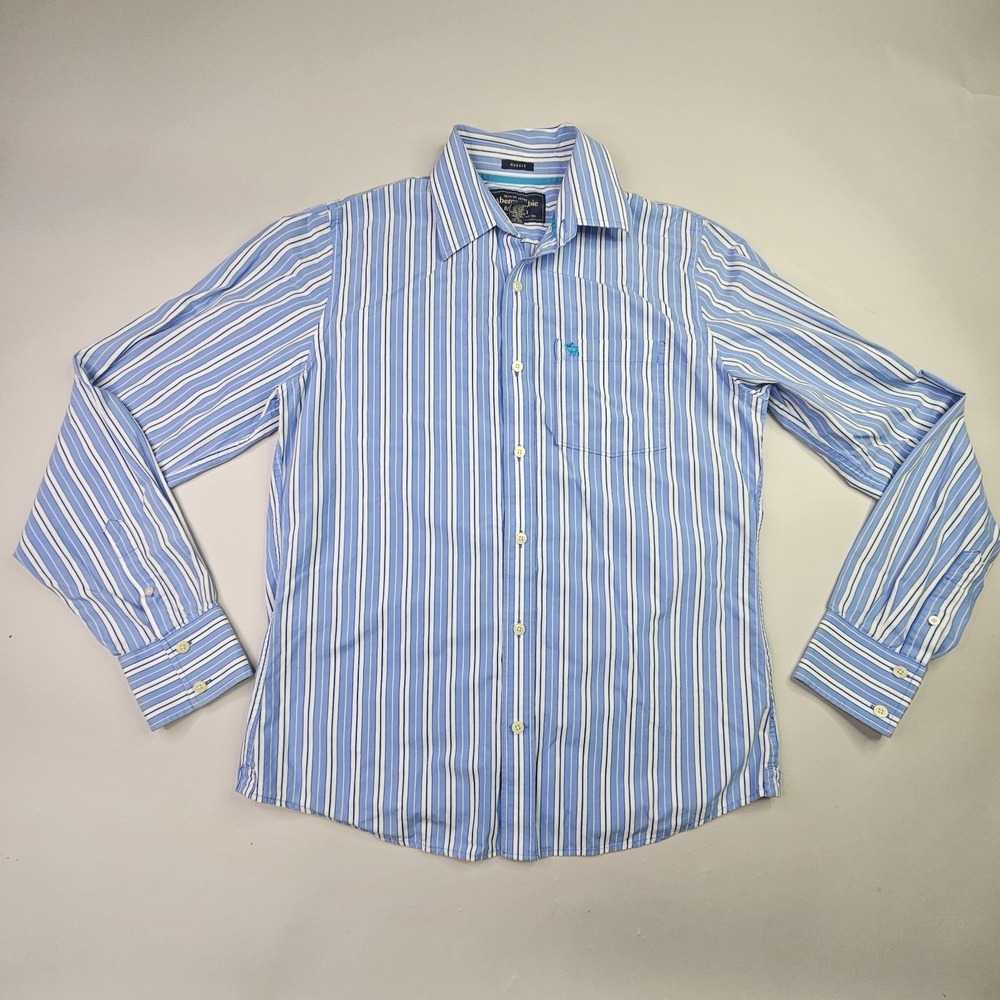 Abercrombie & Fitch Shirt Mens Large Blue White Striped Muscle Fit Long Sleeve
